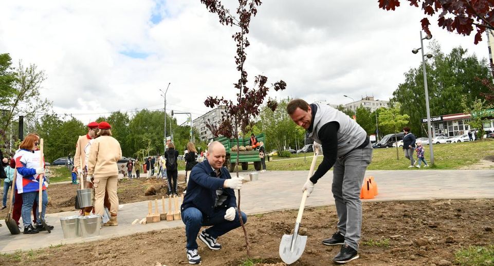 Больше 100 деревьев посадили во время акции «Лес Победы» в Пушкино