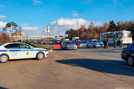 Автошкола Автокурс плюс на улице Чехова фото 1