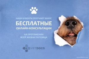 Ветеринарная клиника Vetdocs на улице Чехова фото 2
