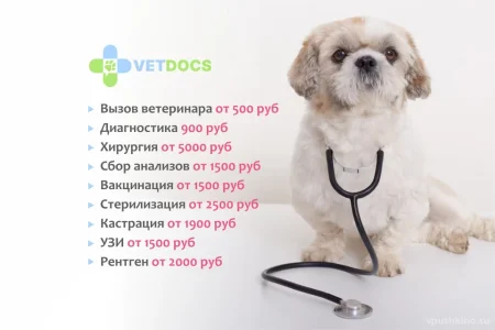 Ветеринарная клиника Vetdocs на улице Чехова фото 12
