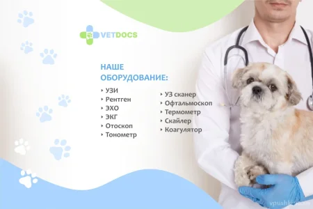 Ветеринарная клиника Vetdocs на улице Чехова фото 7