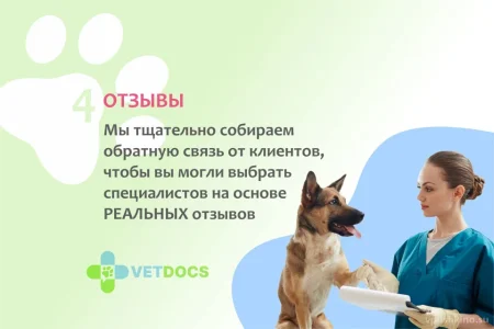Ветеринарная клиника Vetdocs на улице Чехова фото 5