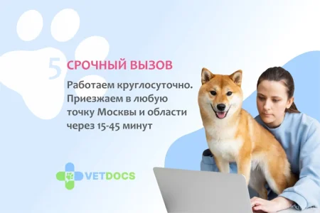 Ветеринарная клиника Vetdocs на улице Чехова фото 10
