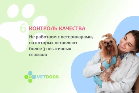 Ветеринарная клиника Vetdocs на улице Чехова фото 6