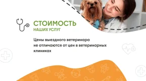 Ветеринарная служба ВетСкорая24 на улице Кузнецкий Мост фото 2